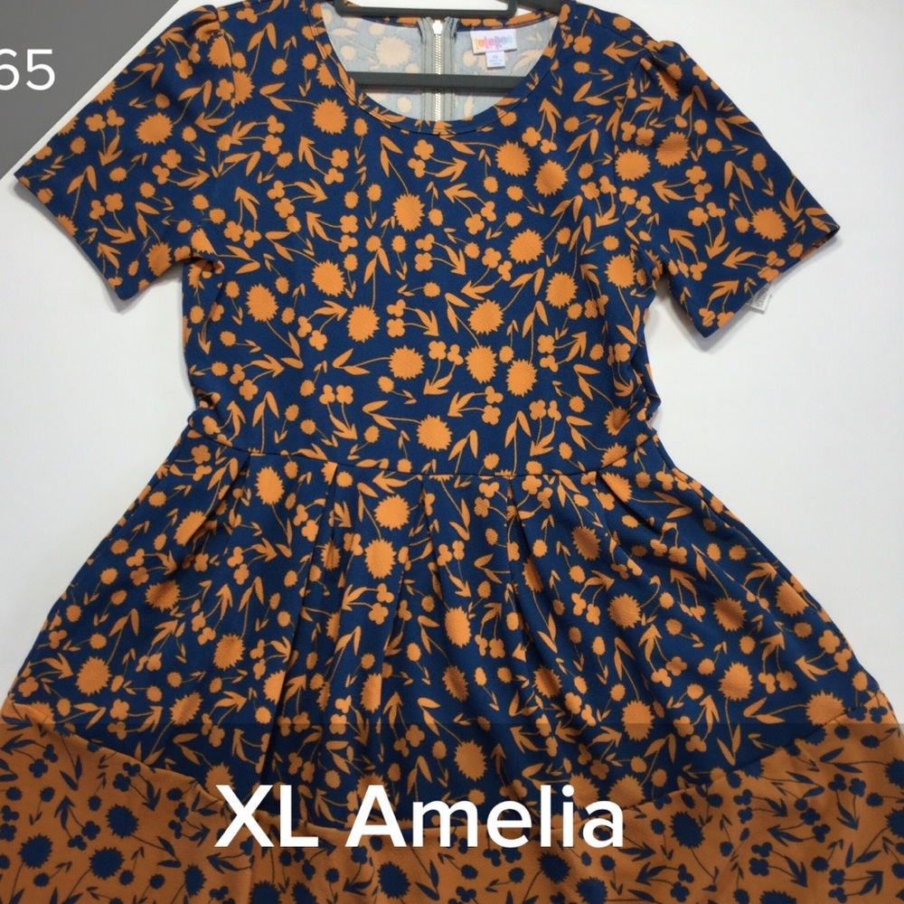 XL Amelia